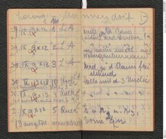 Seite 12, Tagebuch "Photogr. Aufn. 1919" (NHMW-PRAE-BBB-11)
